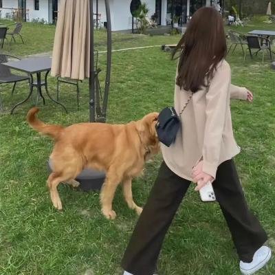 我不是特工