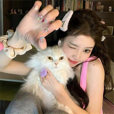 熊猫计划